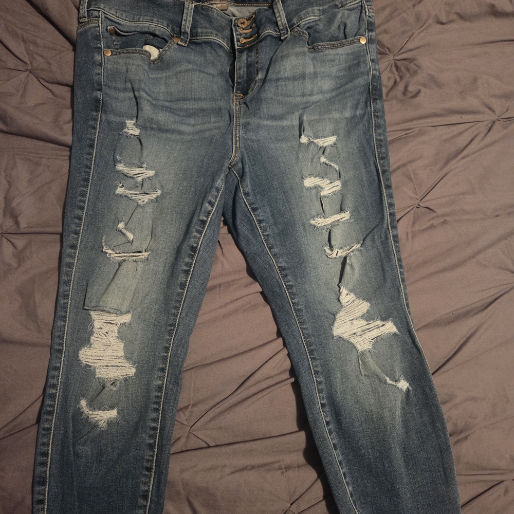 Torrid Distressed Skinny Jeans in Blue